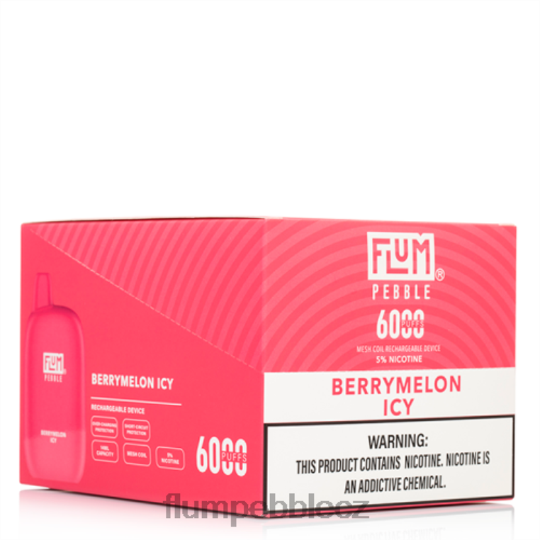 FLUM PEBBLES 6000 šluků 10 balení berrymelon ledový Z88NP8 Flum Pebble Vape Review