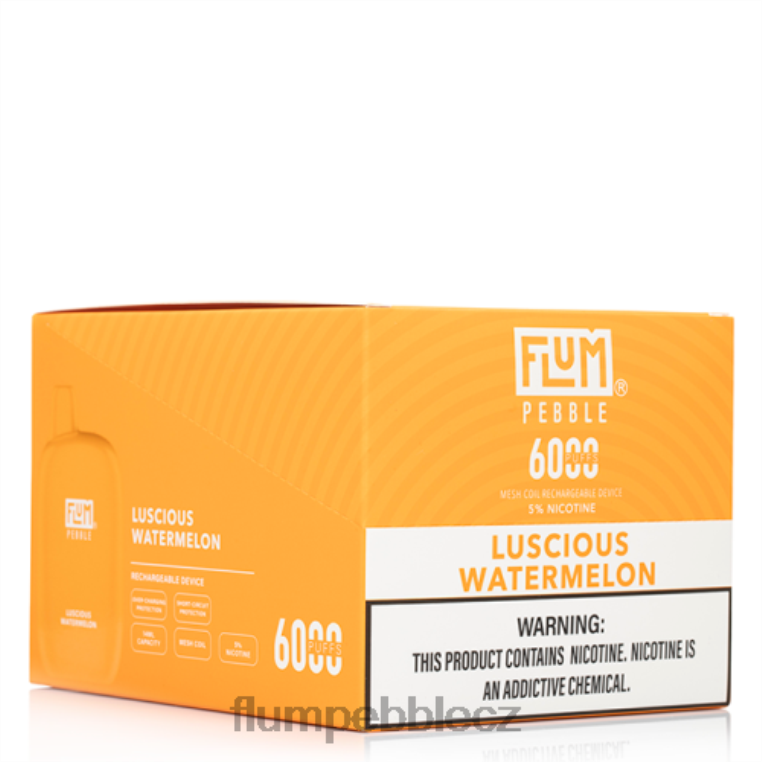 FLUM PEBBLES 6000 šluků 10 balení lahodný meloun Z88NP51 Flum Pebble CZ