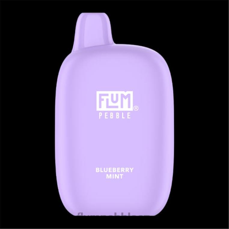 FLUM PEBBLES 6000 šluků borůvková máta Z88NP17 Flum Pebble Vape Flavors