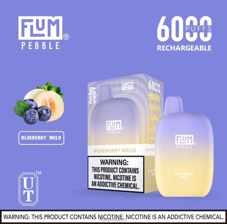 FLUM PEBBLES 6000 šluků borůvkové melo Z88NP16 Flum Pebble Vape Near Me