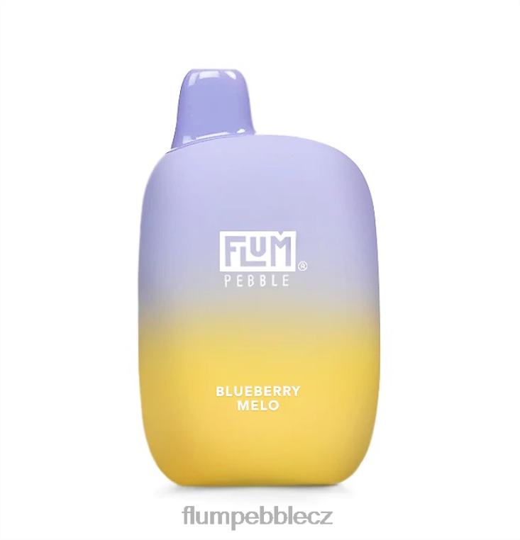 FLUM PEBBLES 6000 šluků borůvkové melo Z88NP16 Flum Pebble Vape Near Me
