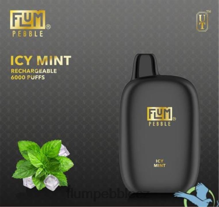 FLUM PEBBLES 6000 šluků ledová máta Z88NP49 Flum Pebble Vape Price