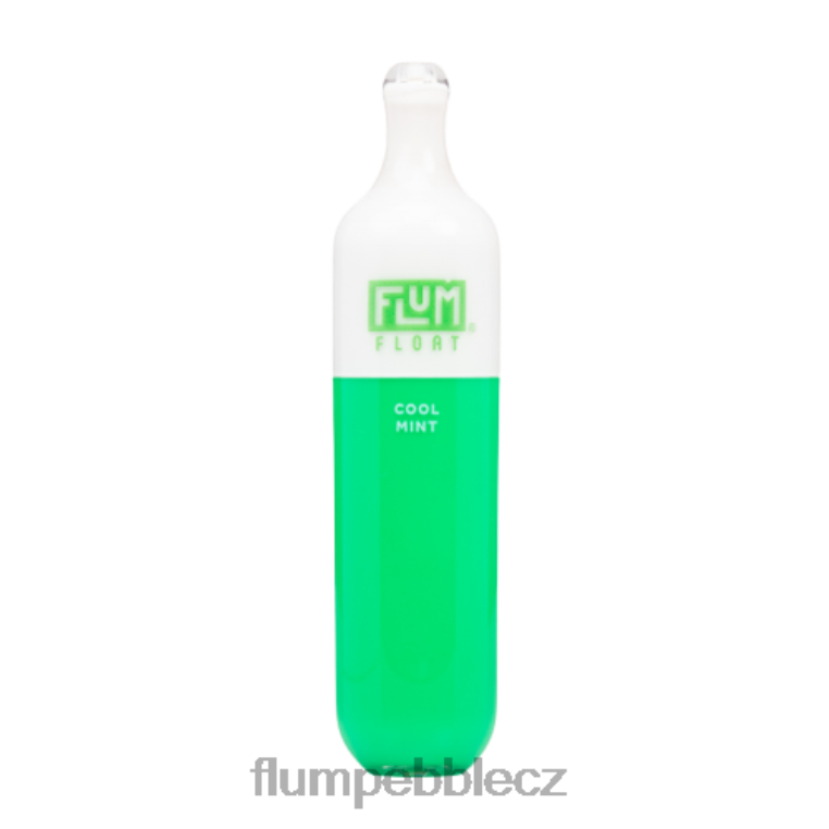 FLUM FLOAT 3000 potahů chladná máta Z88NP25 Flum Pebble Flavors
