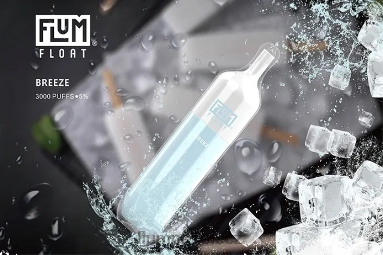 FLUM FLOAT 3000 potahů vánek Z88NP19 Flum Pebble Vape Price